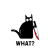 Funny killer cat What