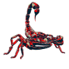 scorpion