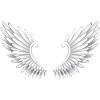 Angel wings