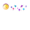 Solar system planets