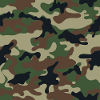 Wallpapered traditional camouflage patterns