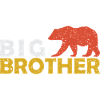 Big brother bear