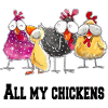 All my chickens