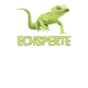 Echsperte Echse Experte Gecko Reptil