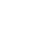 Echsperte Echse Experte Gecko Reptil