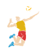 Volleyball volleyball players