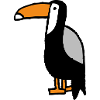 Toucan bird