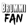 Brummi fan