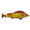 Paul Klee - The goldfish - Der Goldfisch
