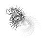 Collapse