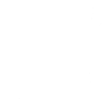 Grasshopper white / Grasshopper white / insects