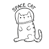Chat de l'espace
