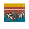 Eat trash raccoon animals gift