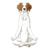 Meditierender Epagneul Breton Hund