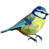 Blaumeise in Polygon-Technik - Zattila Design
