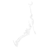 Basketball player