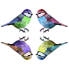 Four tits
