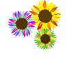 bunter Sonnenblumen Strauß