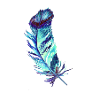 feathers