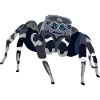 Spider - spider