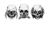Totenkopf Totenschädel Knochen Schädel
