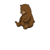 Brummbär Bären Bär