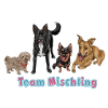 Team Mischling