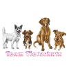 Team Tierschutz