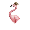 Royalty Flamingo Crown Pink Bird