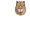 Love Capybara Lover