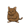 Degu