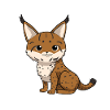lynx