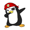 Pirate penguin pirate