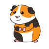Guinea pig