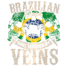 brésilien