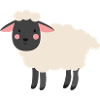 sheep