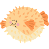 Puffer fish
