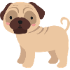 pug