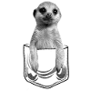 Bébé suricate en poche