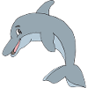 dolphin
