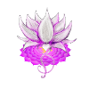 Lotus crown chakra