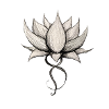 Lotus Original