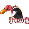 vulture