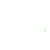 Vegan...Punkt Statement shirt