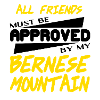Berner Sennenhund
