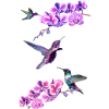 Hummingbirds flying between orchids