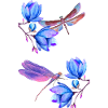 Dragonflies flying between blue flowers