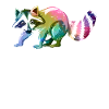 Raccoon cute animal