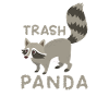racoon
