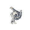 Judo